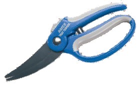 Pruning Shears